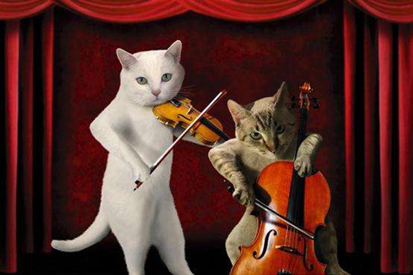 九型人格是什么意思 九型人格测试1-9型人格分析