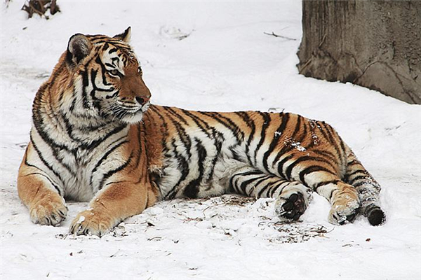 �й������ϻ���˭ �������ǻ��Ƕ�������