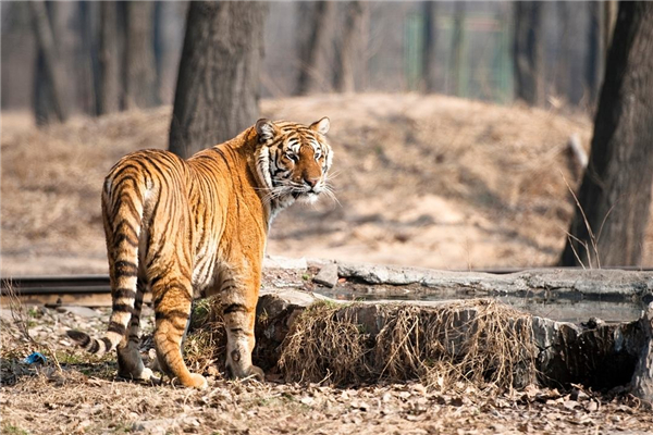 �й������ϻ���˭ �������ǻ��Ƕ�������