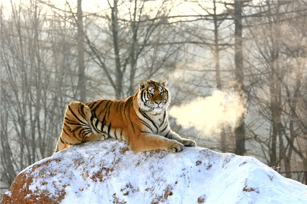 �й������ϻ���˭ �������ǻ��Ƕ�������