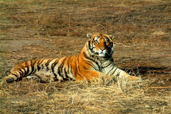 �й������ϻ���˭ �������ǻ��Ƕ�������