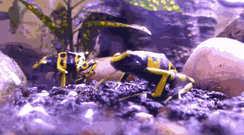 �����ܵĶ����ж�� �����ܵĿ�����ʲô����