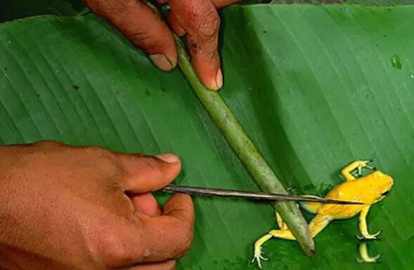 �����ܵĶ����ж�� �����ܵĿ�����ʲô����