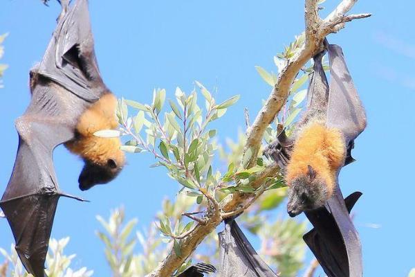 ������ʲô���� ���غ�����ʲô���ӵ�ͼƬ