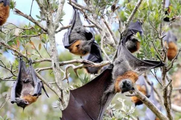 ������ʲô���� ���غ�����ʲô���ӵ�ͼƬ