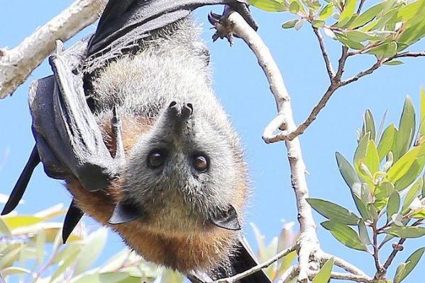 ������ʲô���� ���غ�����ʲô���ӵ�ͼƬ