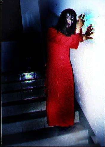 ������Ľ��ɶ���ʲô ����������ʲô����