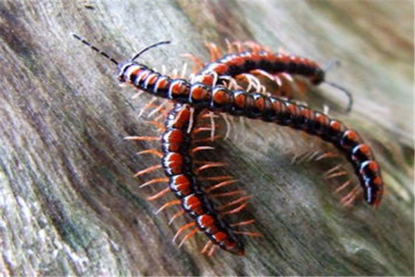 ��½���ж���������ֵ�ԭ�� ��½����ô��������