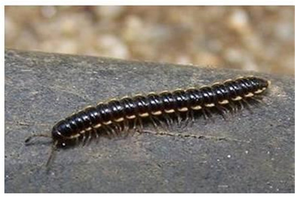 ��½���ж���������ֵ�ԭ�� ��½����ô��������