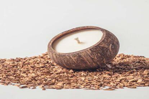 Ҭ�ӿ���ʲô���� �Թ���Ҭ�ӿ�����ʲô����