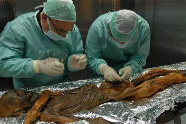 ľ��������ô�γɵ� ��ʲô��˼��ɶ����