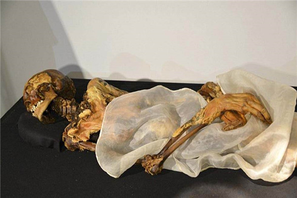 木乃伊是怎么形成的 是什么意思是啥做的