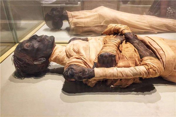 木乃伊是怎么形成的 是什么意思是啥做的