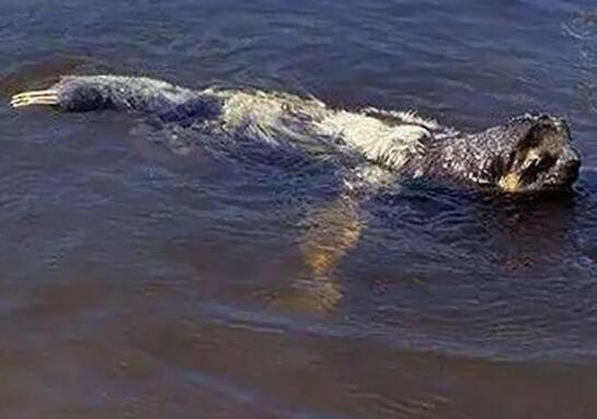 �ĸ��ط���ˮ�� �����͹���̲����ˮ��