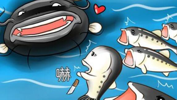 ����ЧӦ��ʲô��˼�� ��������ʲô����