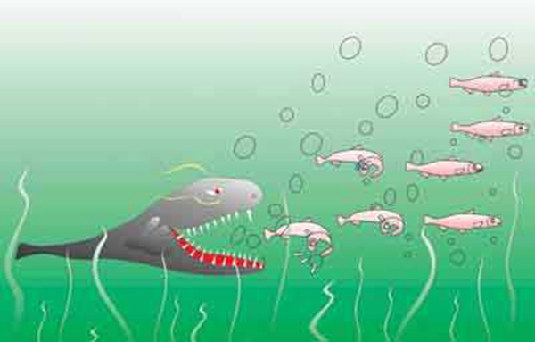 ����ЧӦ��ʲô��˼�� ��������ʲô����