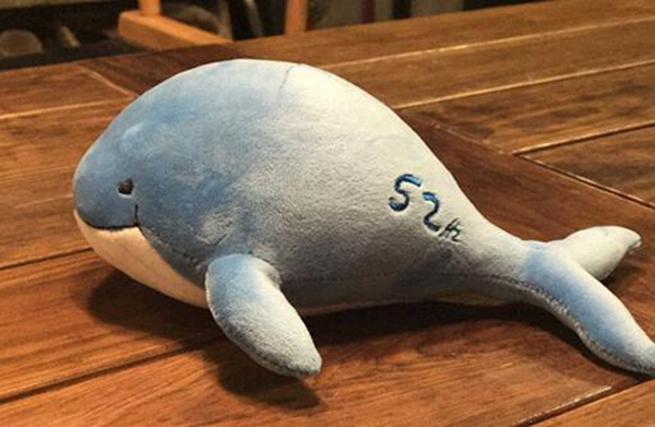 alice������ʲôƷ�� һֻ52hz������¹¶��ں����ε�