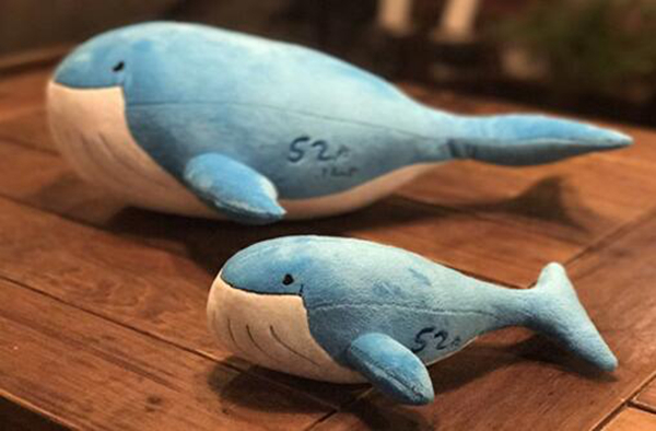 alice������ʲôƷ�� һֻ52hz������¹¶��ں����ε�