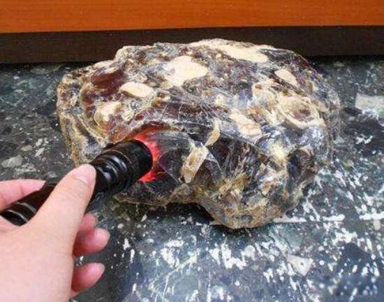 龙涎香是什么动物排出的 是来自哪种海洋生物