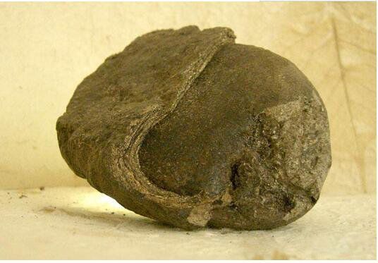 龙涎香是什么动物排出的 是来自哪种海洋生物