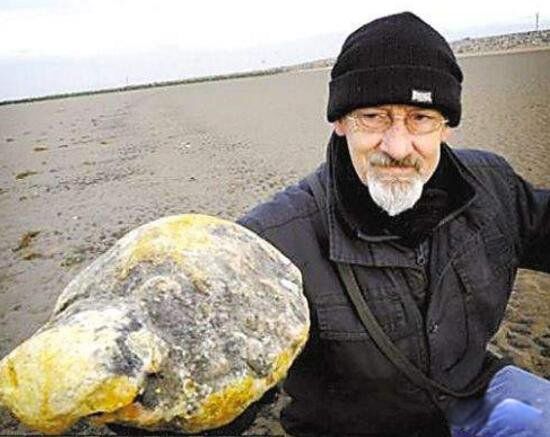 龙涎香是什么动物排出的 是来自哪种海洋生物