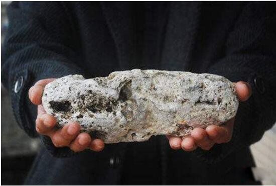 龙涎香是什么动物排出的 是来自哪种海洋生物