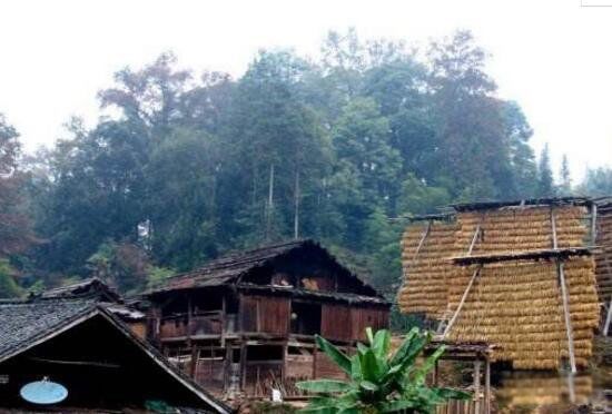 占领村真的可以控制性别吗 什么是换花草的秘密