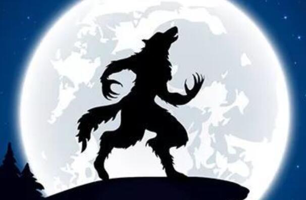 ��������С˵��omega��ʲô��˼ ���˻᳡���������ĵ���