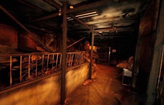 吉尼斯纪录最恐怖的鬼屋图片 日本富士急鬼屋有人走完全程吗