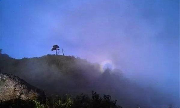 ������Ĵ����� �����ѱ���ѧ��֤ʵ���ҹ���������