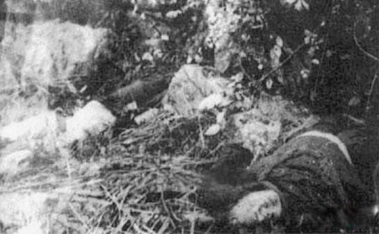 ������¼�ԭ�� ���������������ʵ����