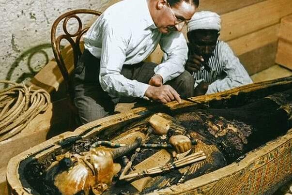 ���ڰ�����������Ŀֲ���˵ �������ϵ�����������ʲô