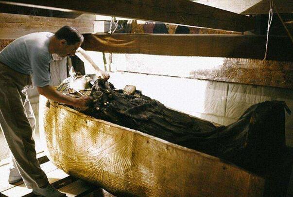 ���ڰ�����������Ŀֲ���˵ �������ϵ�����������ʲô