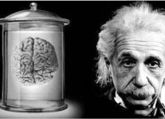 ����˹̹�Ĺ��¼�� ������������ʲô����