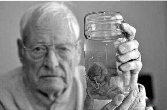 ����˹̹�Ĺ��¼�� ������������ʲô����