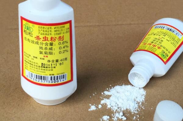 ��������ʲô���� 66�۶������к���