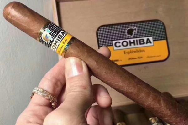 ����������а�ǰ10�� ȫ��ʮ���������۸�����