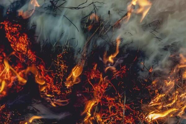 ����һ��18��ֱ�����Щ���� 18������ֱ���ʲô�ͷ�