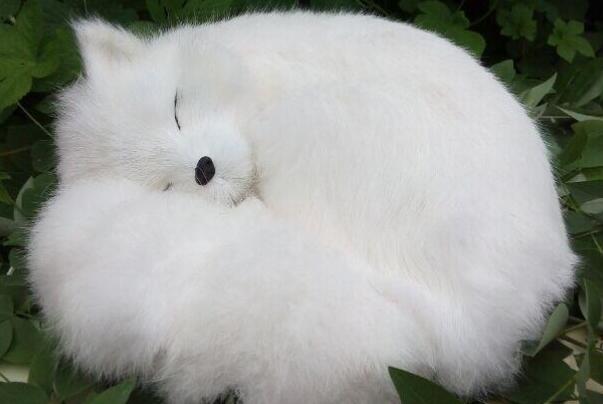 ��������ɺ��ư����� �����ֶ���ֱ�ָ����ʲô