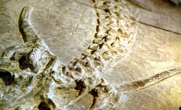 ����������ʵ�¼�����Щ �̵�����ʵ�����¼�