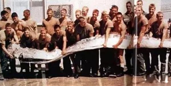 ����������ʵ�¼�����Щ �̵�����ʵ�����¼�