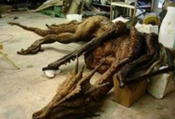 ����������ʵ�¼�����Щ �̵�����ʵ�����¼�