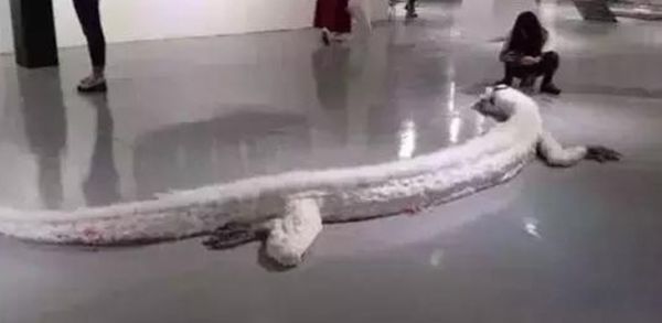 ����������ʵ�¼�����Щ �̵�����ʵ�����¼�