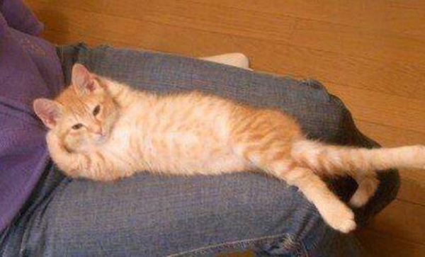 跷二郎腿对身体的哪些影响 为什么不能翘二郎腿坐