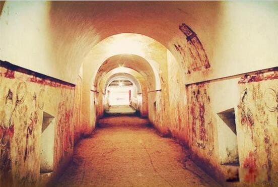 ������Ĺ�ı�����ʲô ������Ĺ������ʲô����