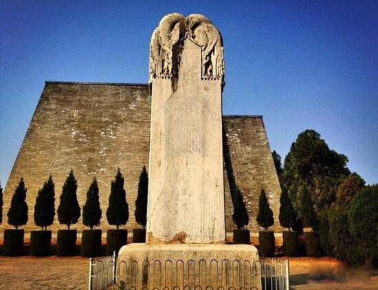 ������Ĺ�ı�����ʲô ������Ĺ������ʲô����