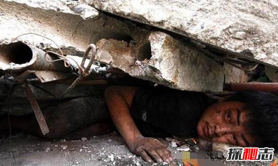 �봨�����¼���ʵ�������� �봨����ֲ���ʵͼƬ