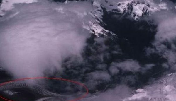 ����������ʵ�¼�����Щ �̵�����ʵ�����¼�