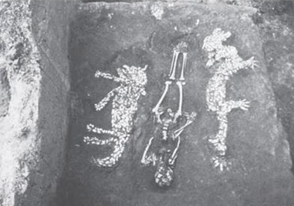 ����������ʵ�¼�����Щ �̵�����ʵ�����¼�