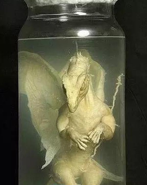 ����������ʵ�¼�����Щ �̵�����ʵ�����¼�